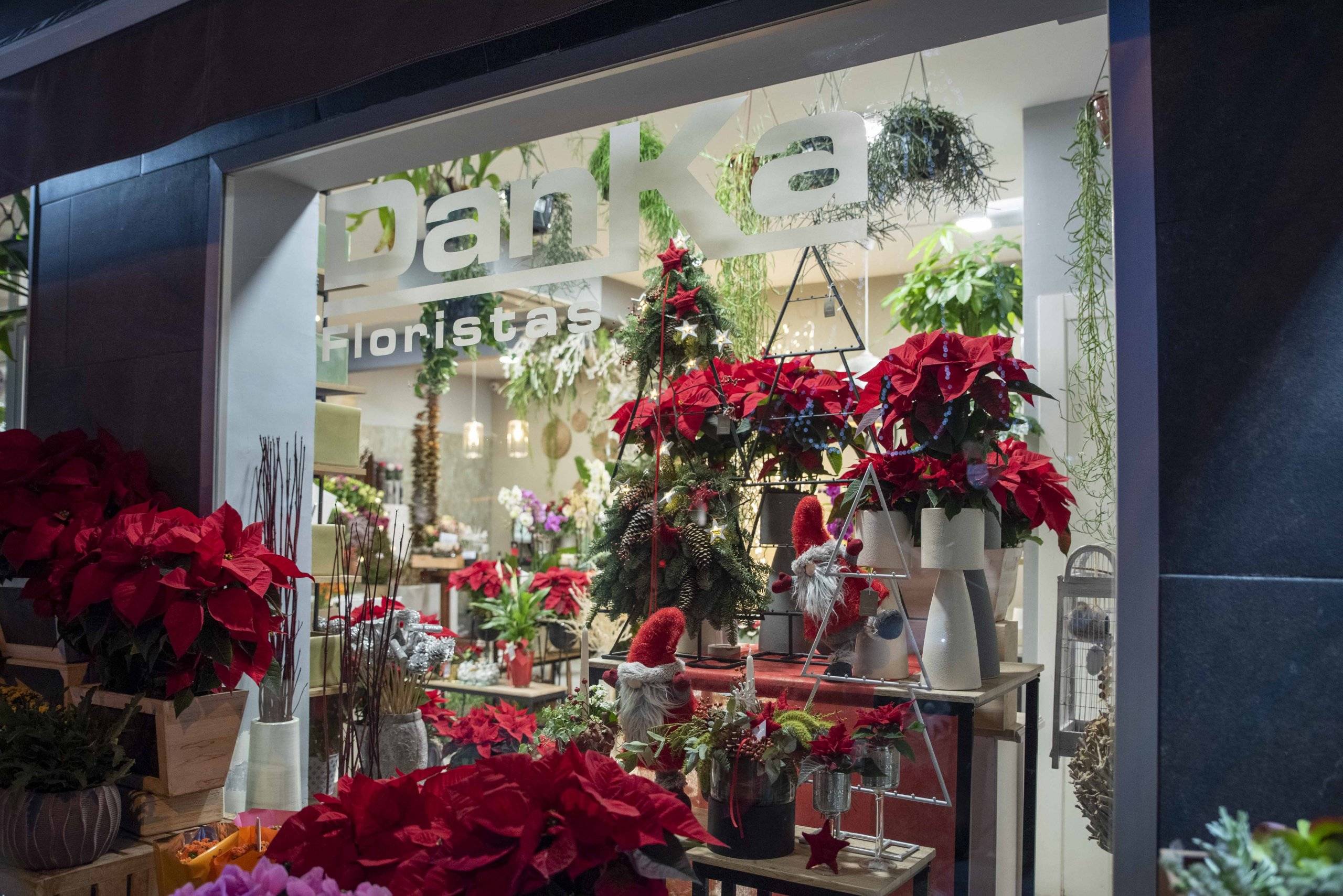 Danka Floristas, galardonado con el Premio Diseño.