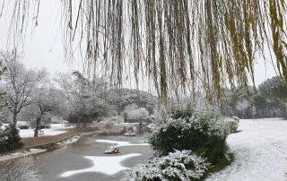 Imagen del parque de La Baltasara nevado.