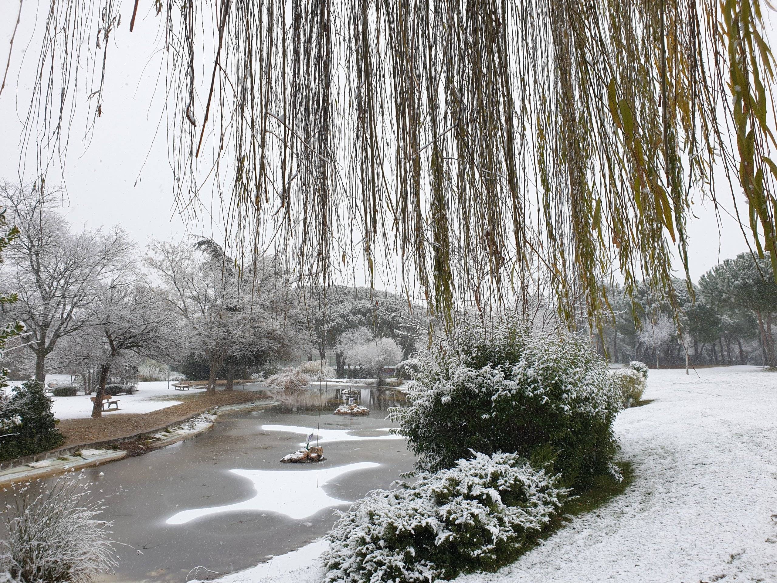 Imagen del parque de La Baltasara nevado.