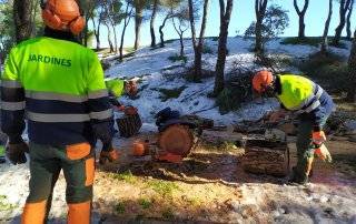 Operarios en las labores de retirada.