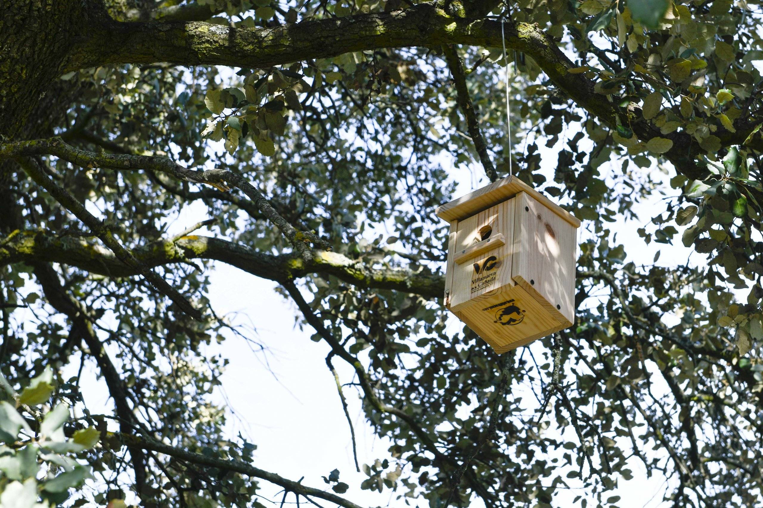 Imagen de una caja nido colgada en un árbol.