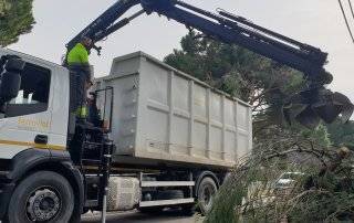 Imagen de los trabajos de retirada de restos vegetales.