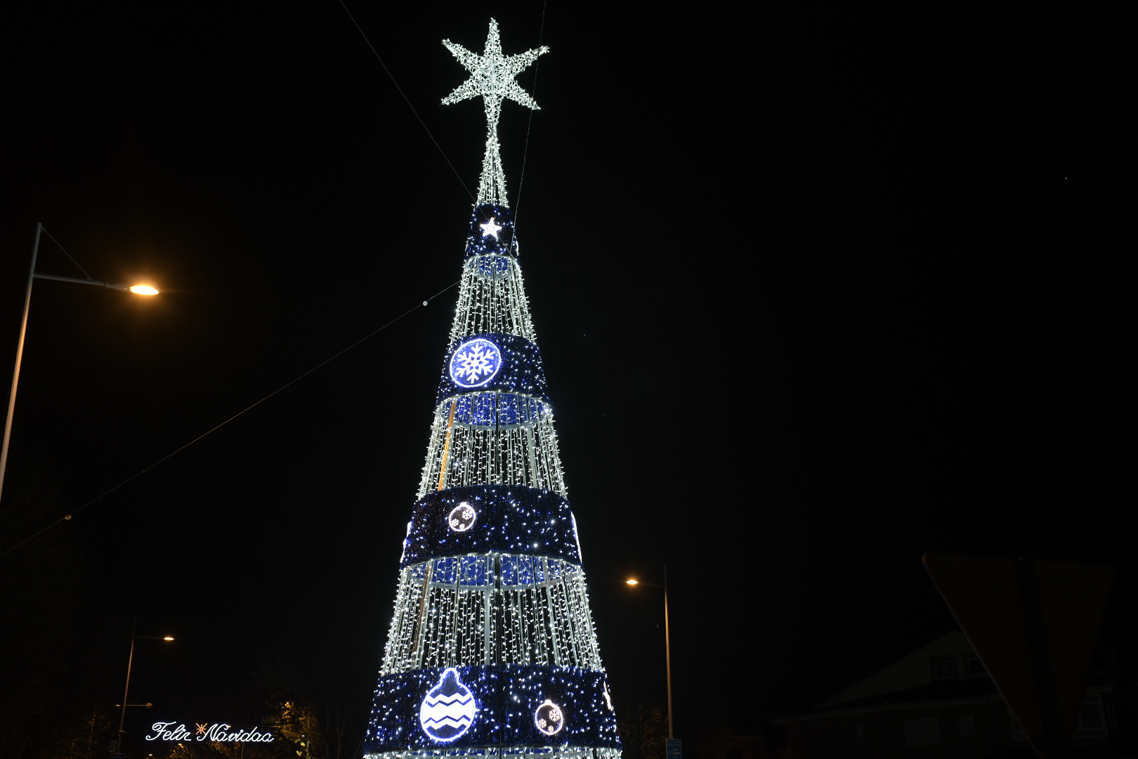 Árbol de luz.