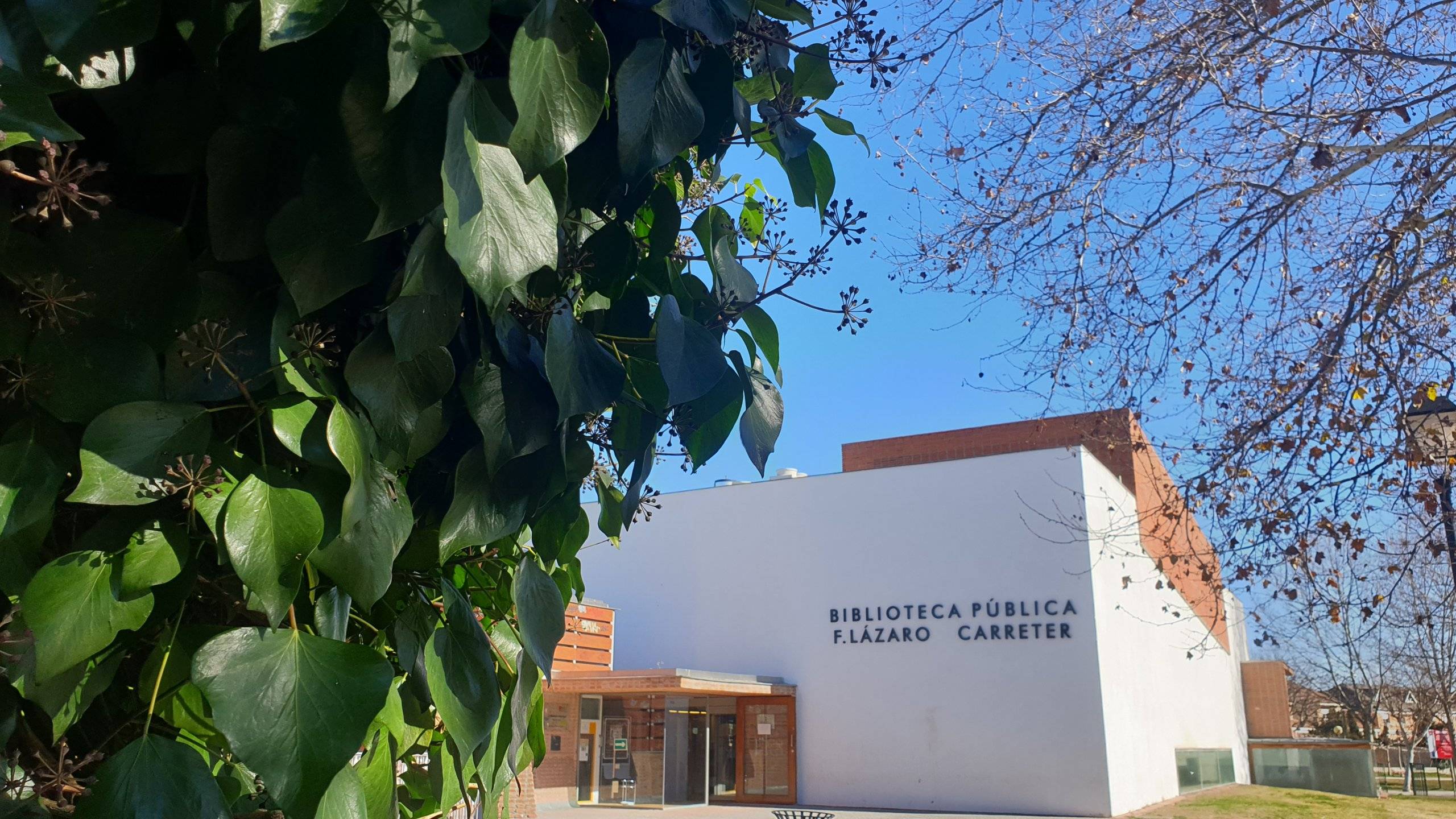 Biblioteca Municipal F. Lázaro Carreter.