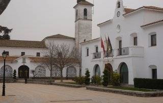 Imagen del antiguo Ayuntamiento cubierto de calima.