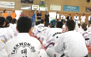Imagen del V Campeonato de Taekwondo.