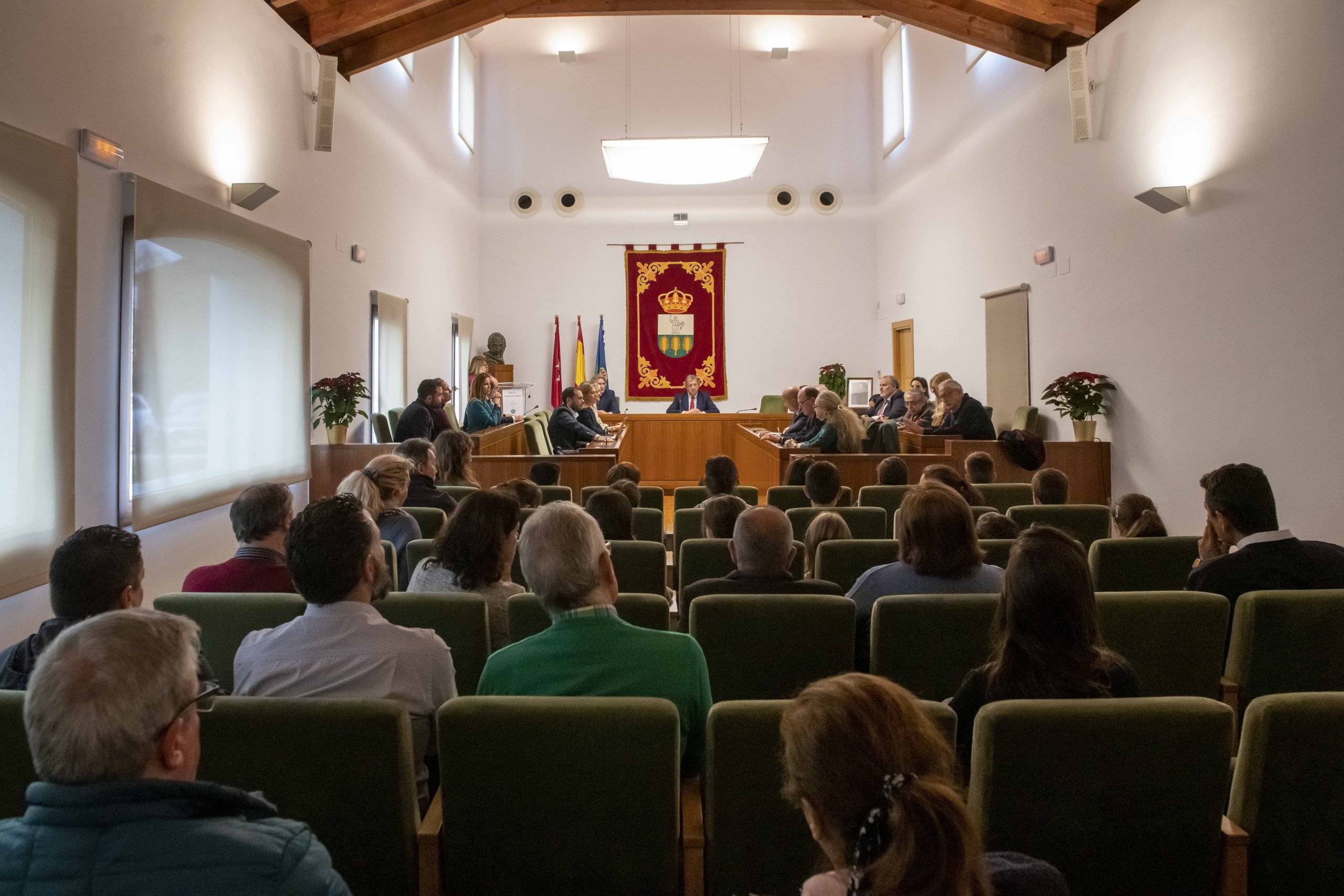 Imagen de la sesión del Pleno conmemorativo del Día de la Constitución.