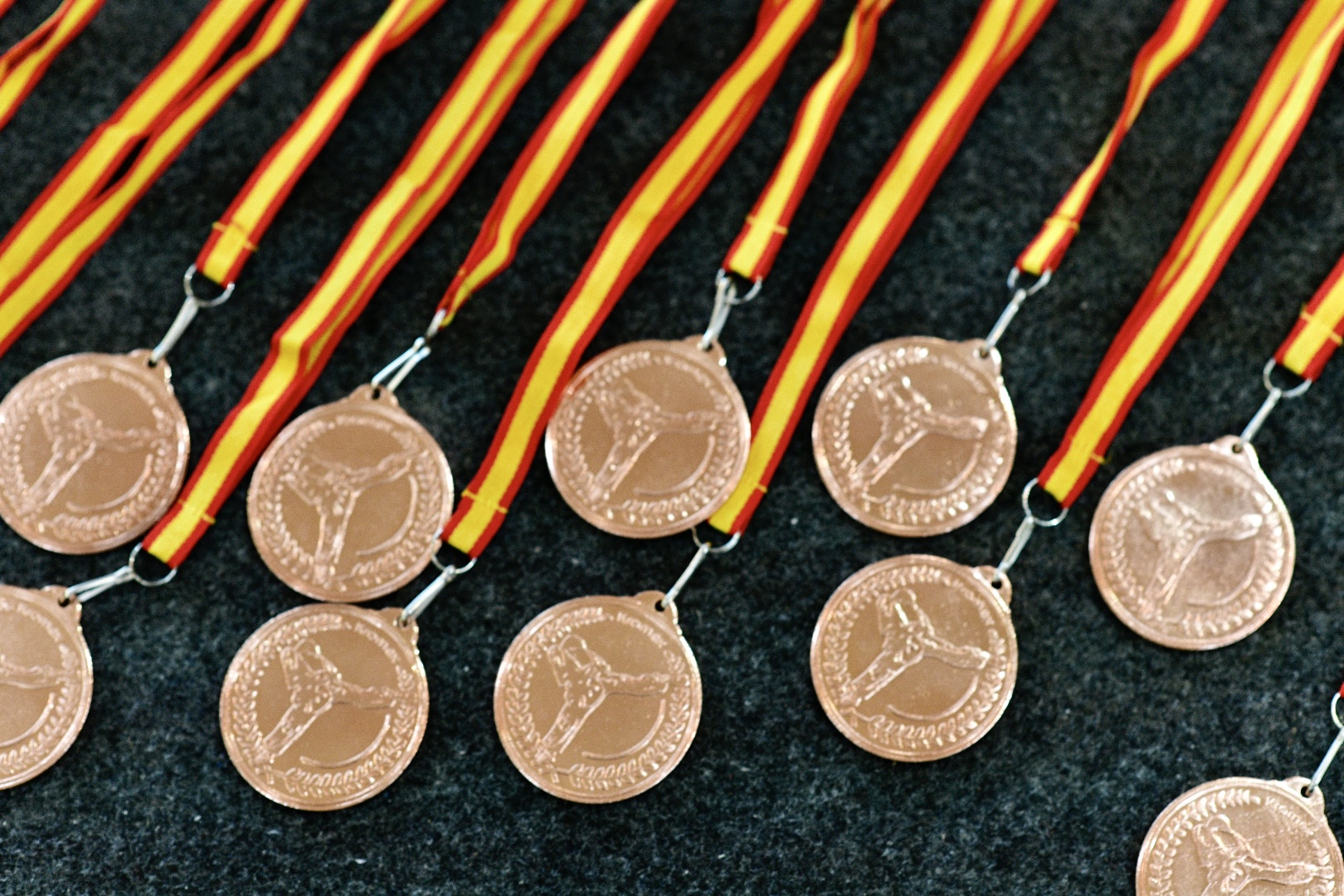 Medallas del campeonato.