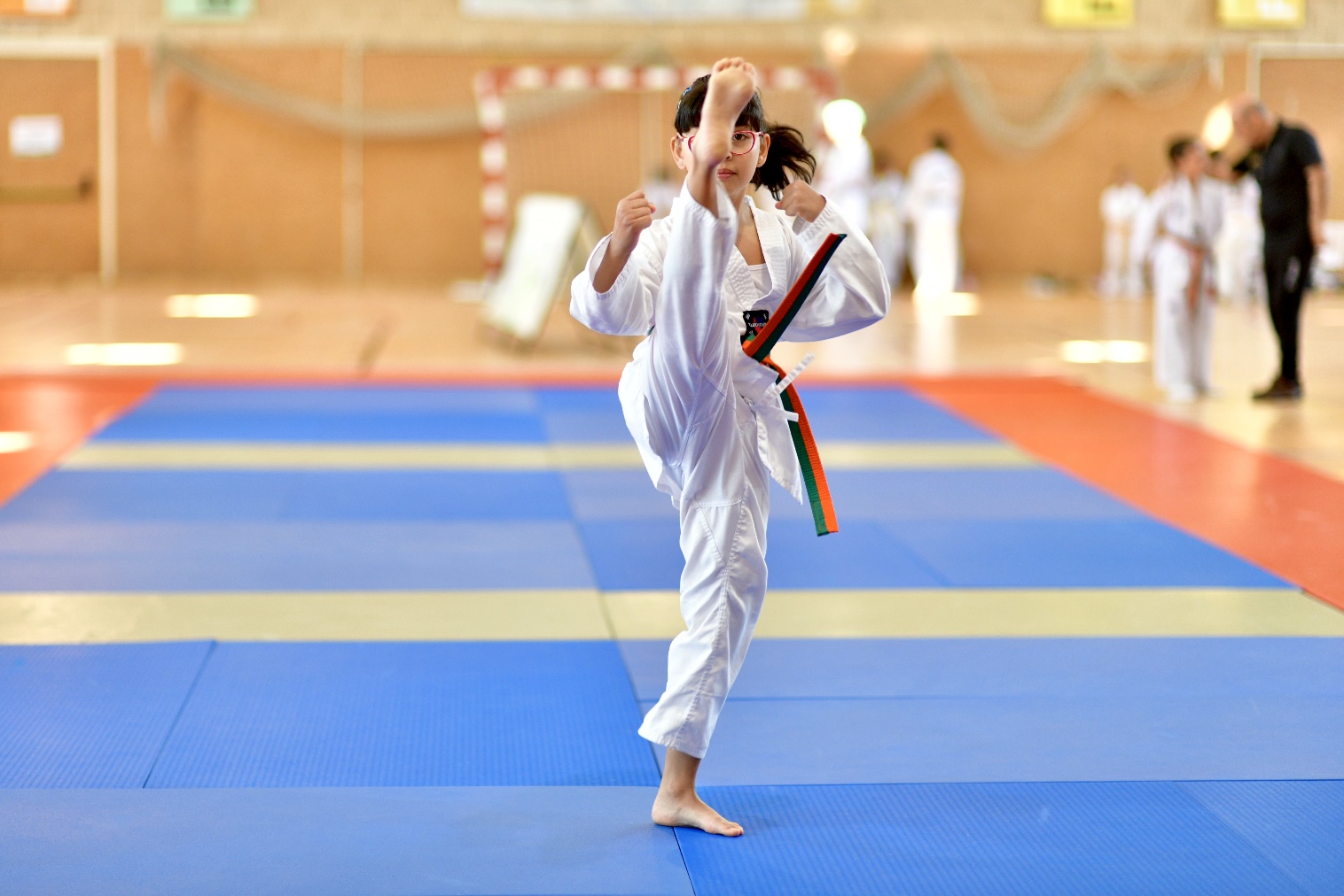 Imagen del campeonato de taekwondo.