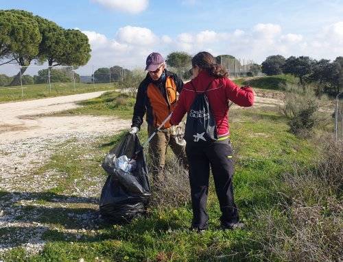 Recogida de ‘basuraleza’ en el Parque Regional del Curso Medio del Río Guadarrama