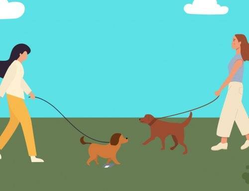 Campaña de concienciación para la recogida de excrementos caninos