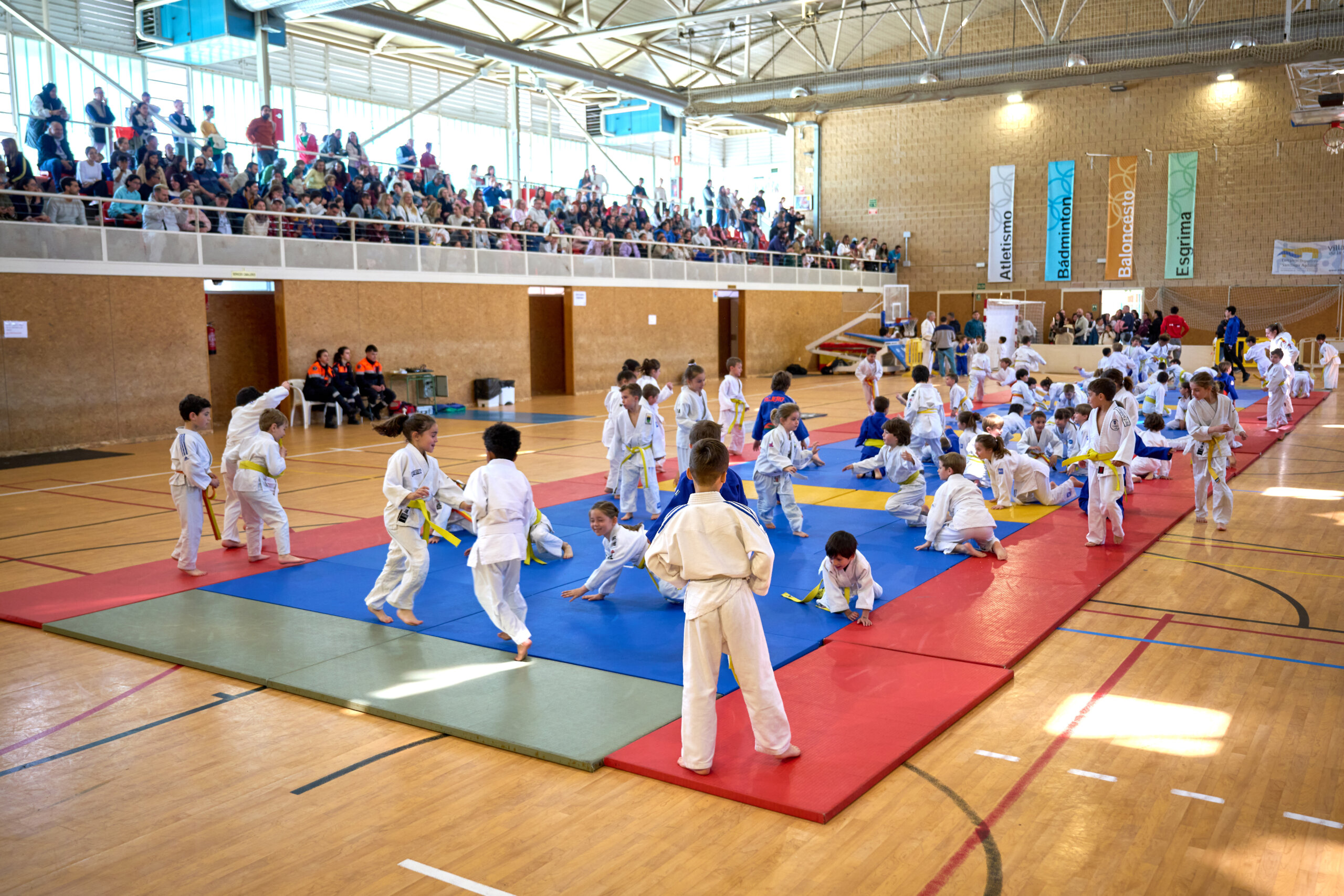Imagen de la competición de Judo.