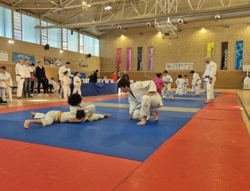 Alta participación en los campeonatos de judo y natación del C.D. Santiago Apóstol