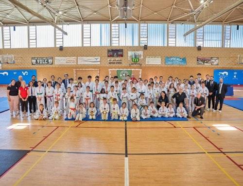 Celebración del VIII Campeonato de Taekwondo