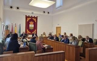 Imagen del pleno celebrado.