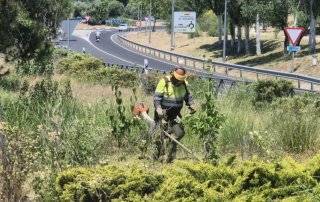 Labores de desbroce y limpieza de vegetación para prevenir incendios