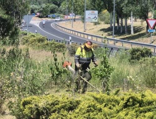 Labores de desbroce y limpieza de vegetación para prevenir incendios