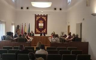 Sesión del Pleno.