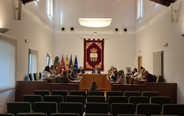 Imagen del pleno celebrado.