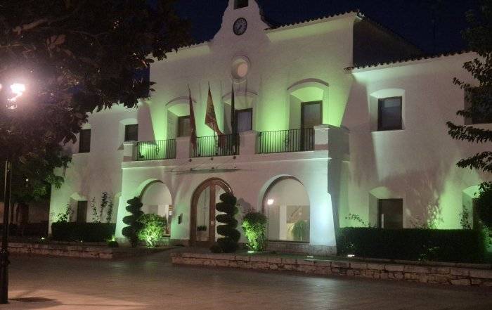 Imagen del antiguo Ayuntamiento iluminado de verde con motivo del Día Mundial contra la Meningitis.