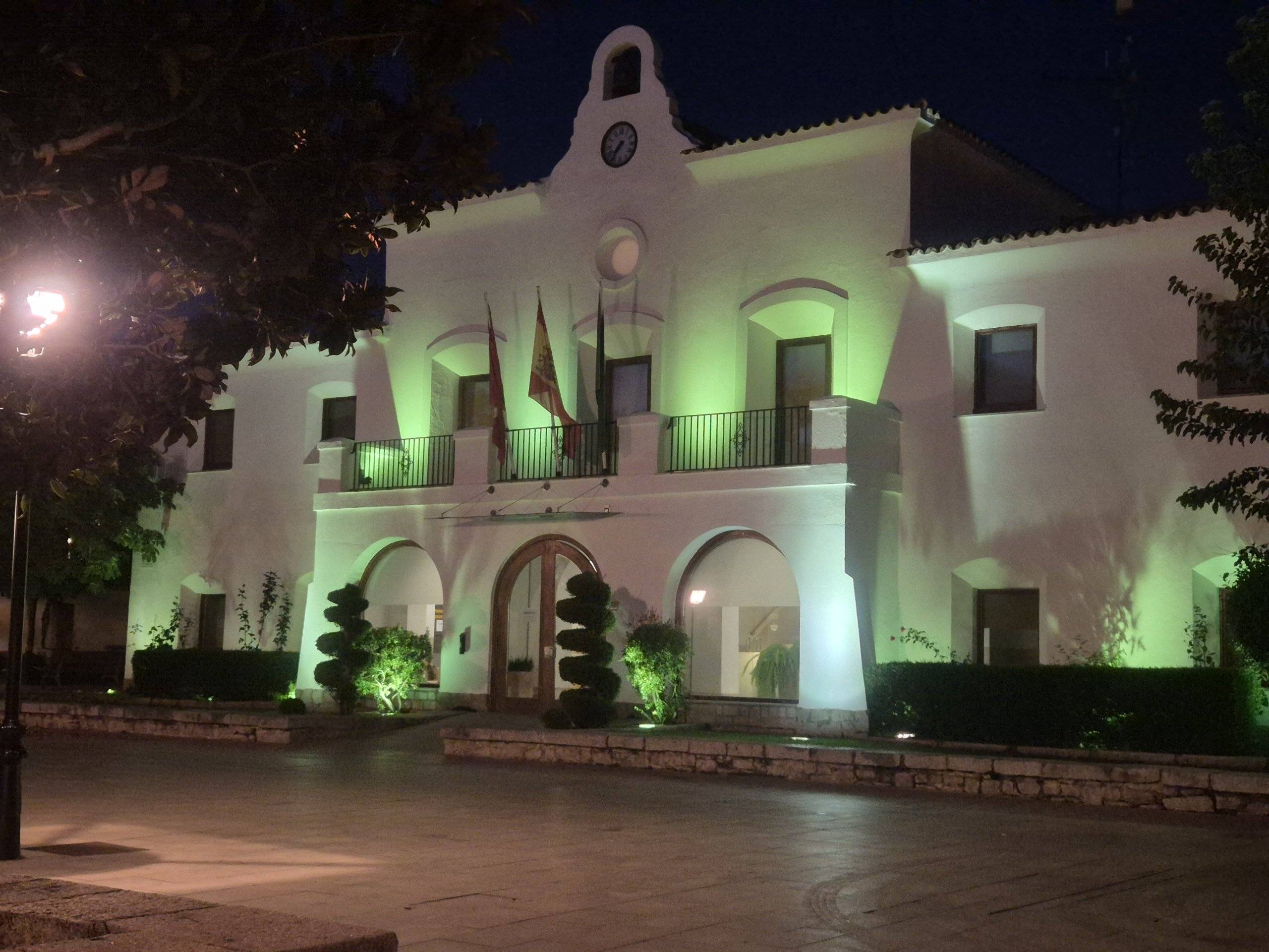 Imagen del antiguo Ayuntamiento iluminado de verde con motivo del Día Mundial contra la Meningitis. Imagen del antiguo Ayuntamiento iluminado de verde con motivo del Día Mundial contra la Meningitis.