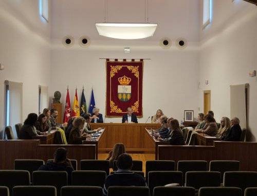 Celebración de la sesión del Pleno del 13 de noviembre