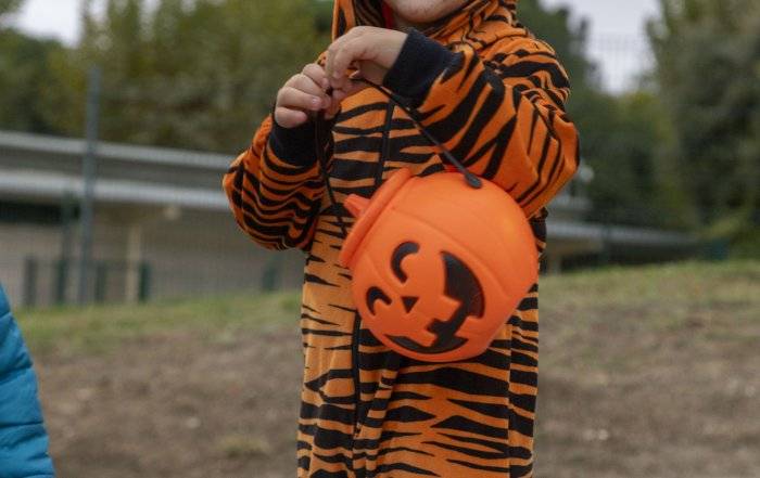 Un niño disfrazado en la fiesta de halloween.