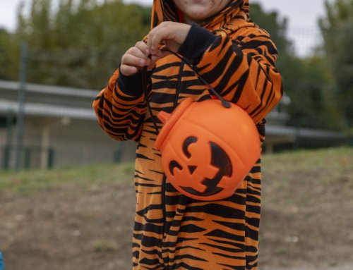 Pasaje del terror y ginkana para celebrar Halloween en Villanueva de la Cañada