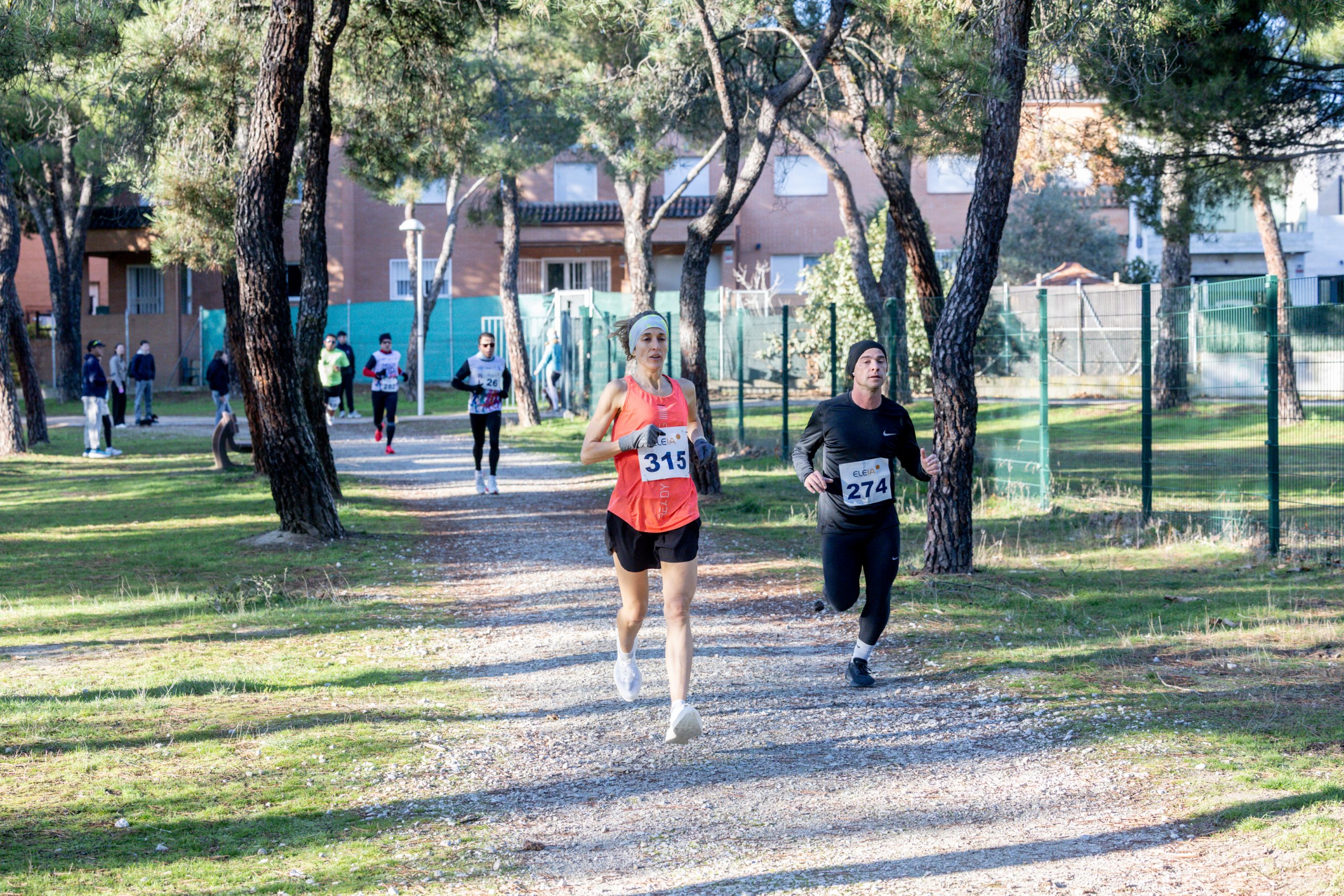 Grupo de corredores por El Pinar.