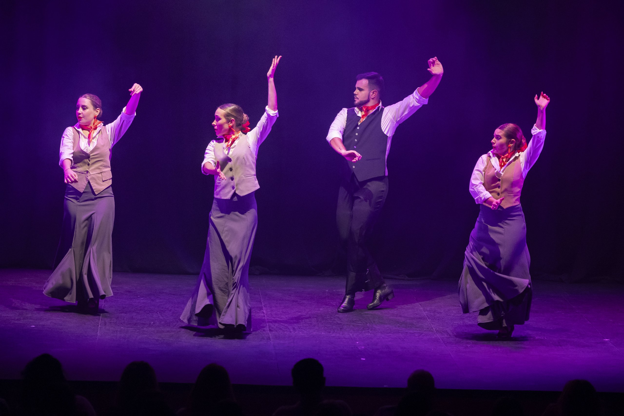 Espectáculo flamenco de la EMMD.