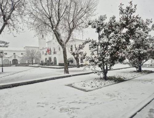 Dispositivo especial por la nevada registrada esta mañana en el municipio