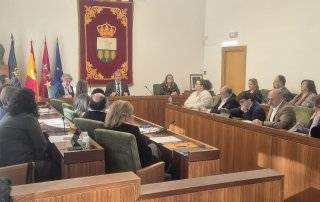 Imagen del pleno celebrado.