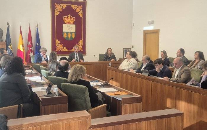 Imagen del pleno celebrado.