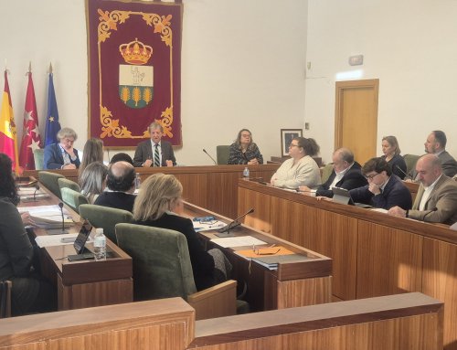 Celebración de la sesión del Pleno de febrero