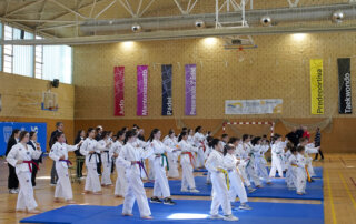 IX Campeonato de Taekwondo.