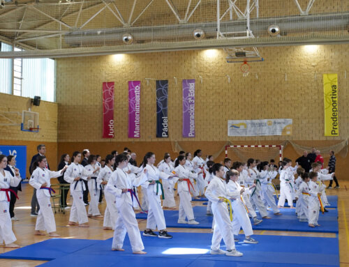 Villanueva de la Cañada acoge el IX Campeonato de Taekwondo