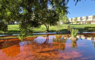 Agua teñida de rojo en el estanque de La Baltasara.