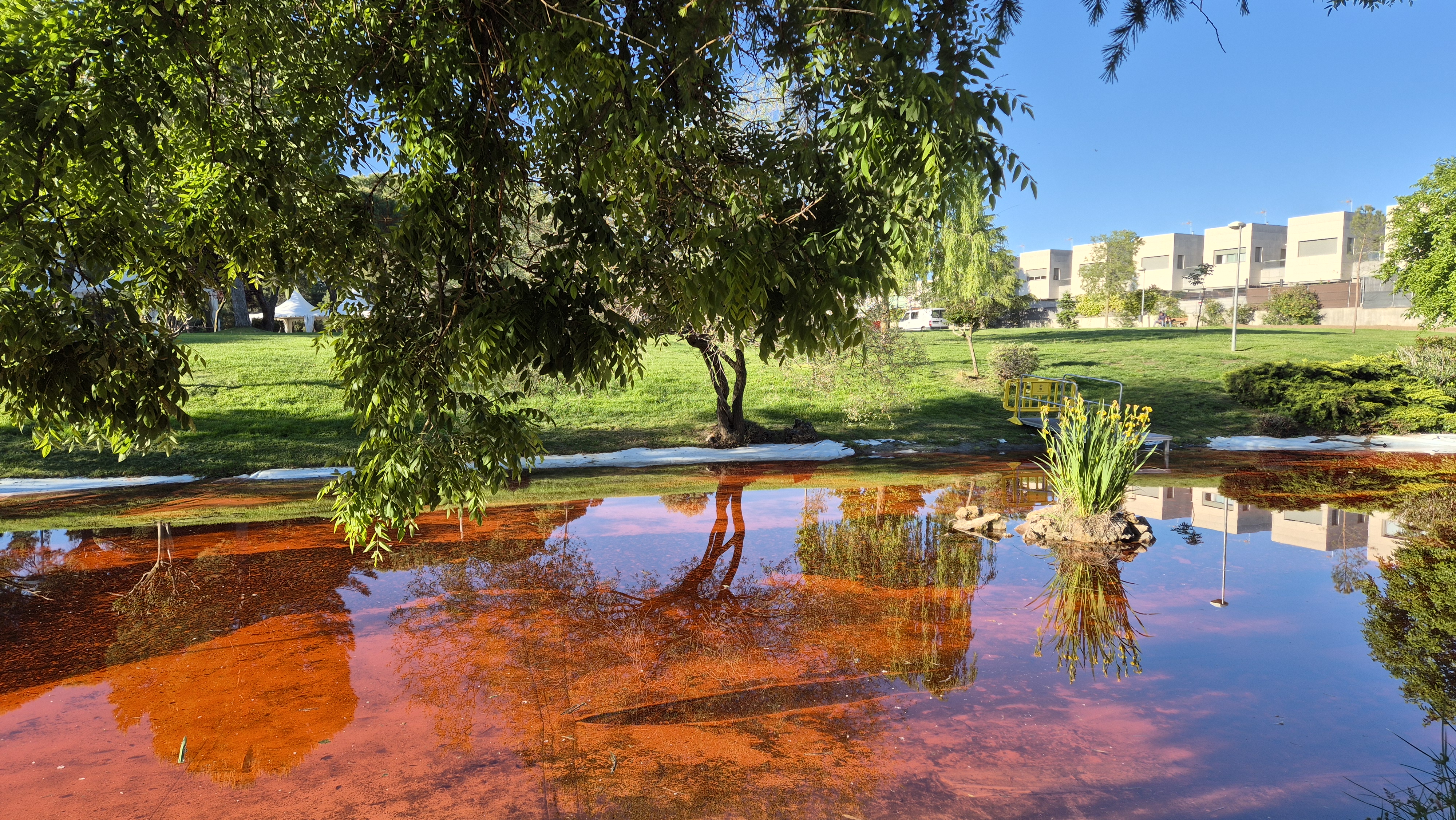 Agua teñida de rojo en el estanque de La Baltasara.