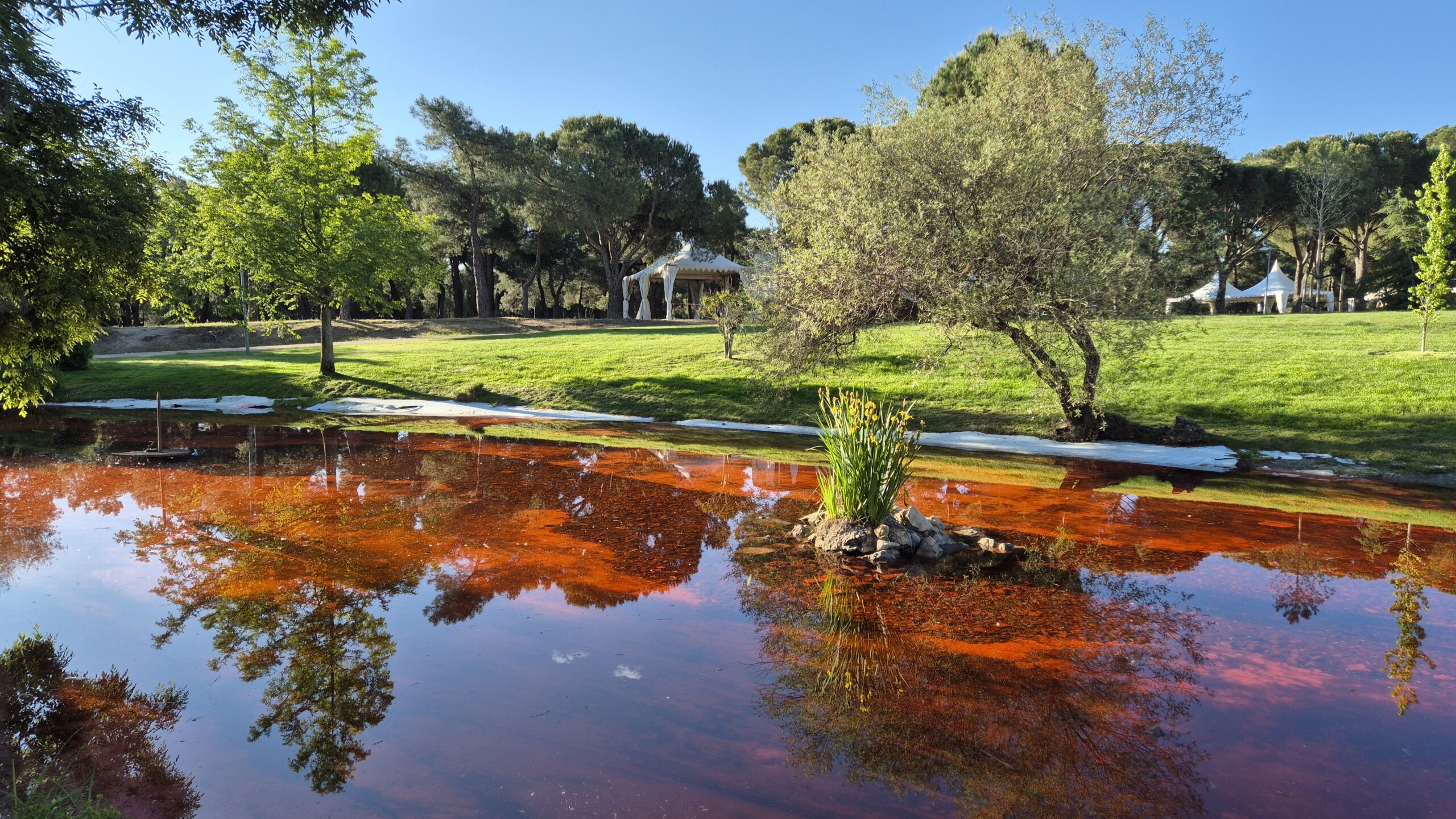 Estanque de La Baltasara con el agua teñida de rojo.