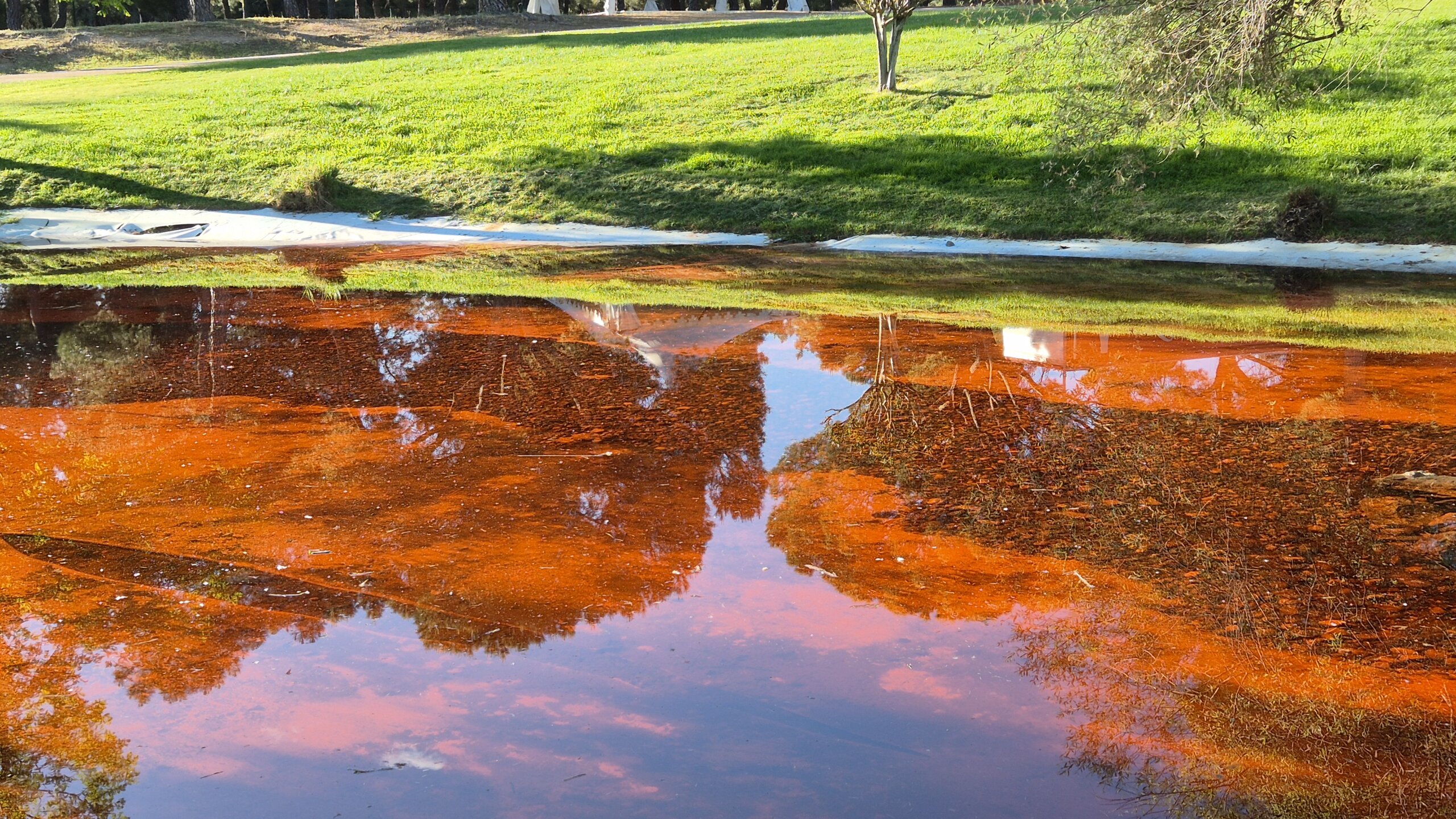 Agua teñida de rojo en el estanque de La Baltasara.