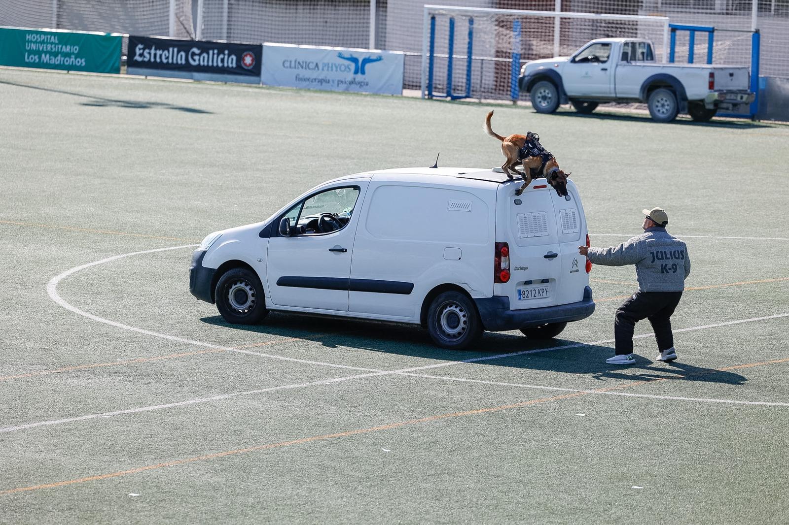 Exhibición en la ceremonia de clausura de las Jornadas Policiales y Militares de Guías Caninos.