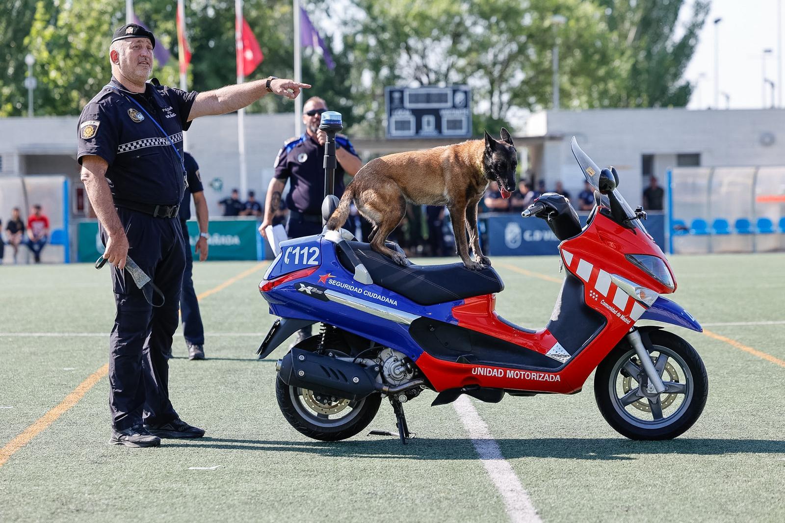 Exhibición en la ceremonia de clausura de las Jornadas Policiales y Militares de Guías Caninos.