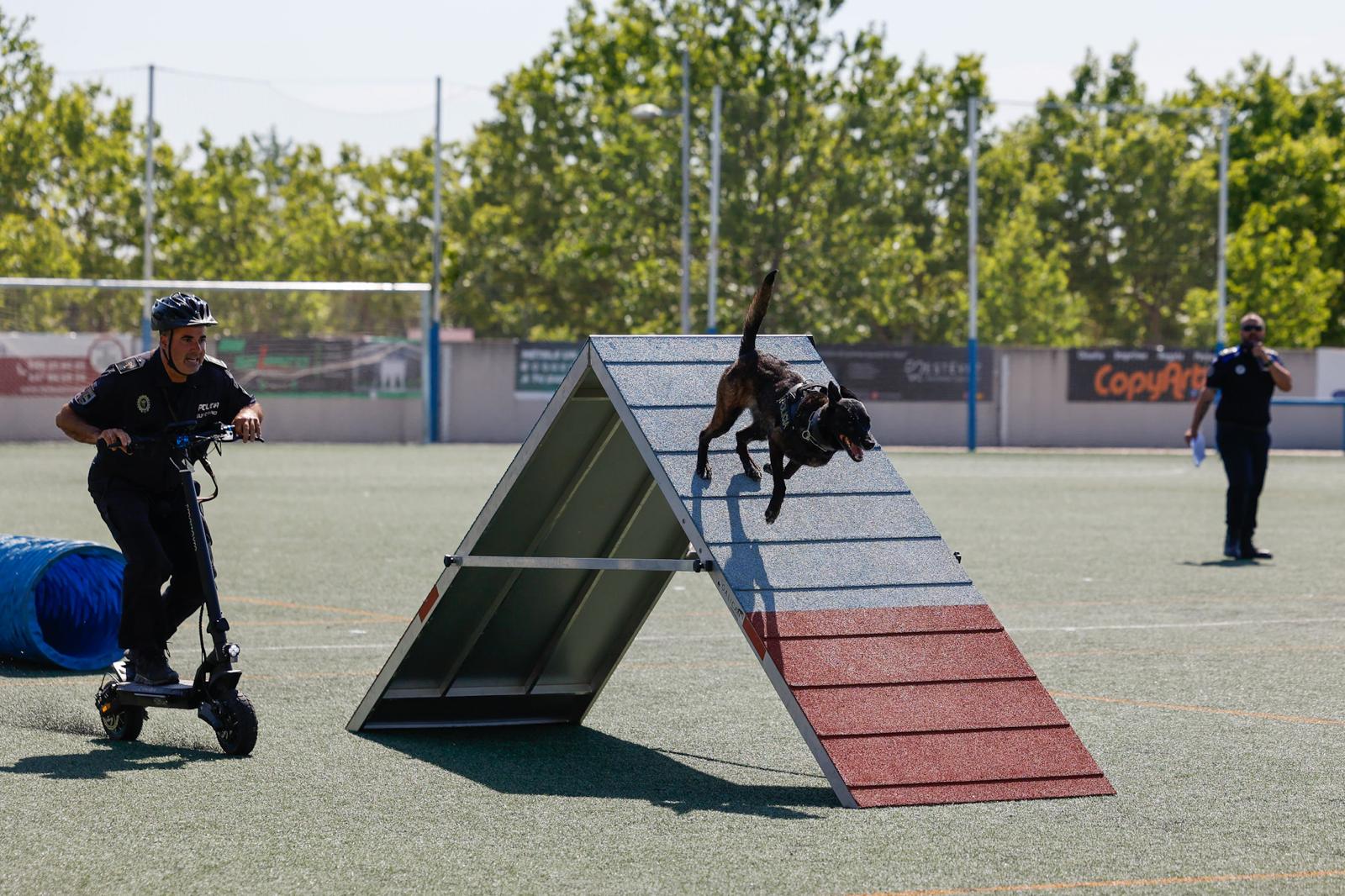 Exhibición en la ceremonia de clausura de las Jornadas Policiales y Militares de Guías Caninos.