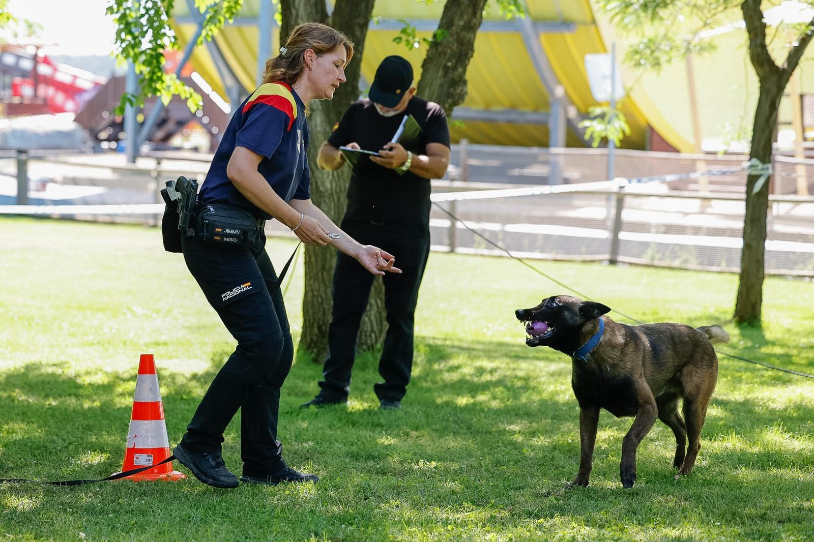 Campeonato de las I Jornadas Policiales y Militares de Guías Caninos.