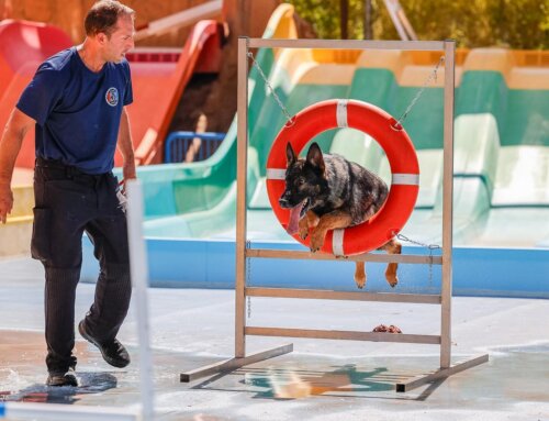 Continúan las Jornadas Policiales y Militares de Guías Caninos con un campeonato en Aquopolis