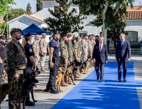 Más de 40 unidades caninas se dan cita en Villanueva de la Cañada