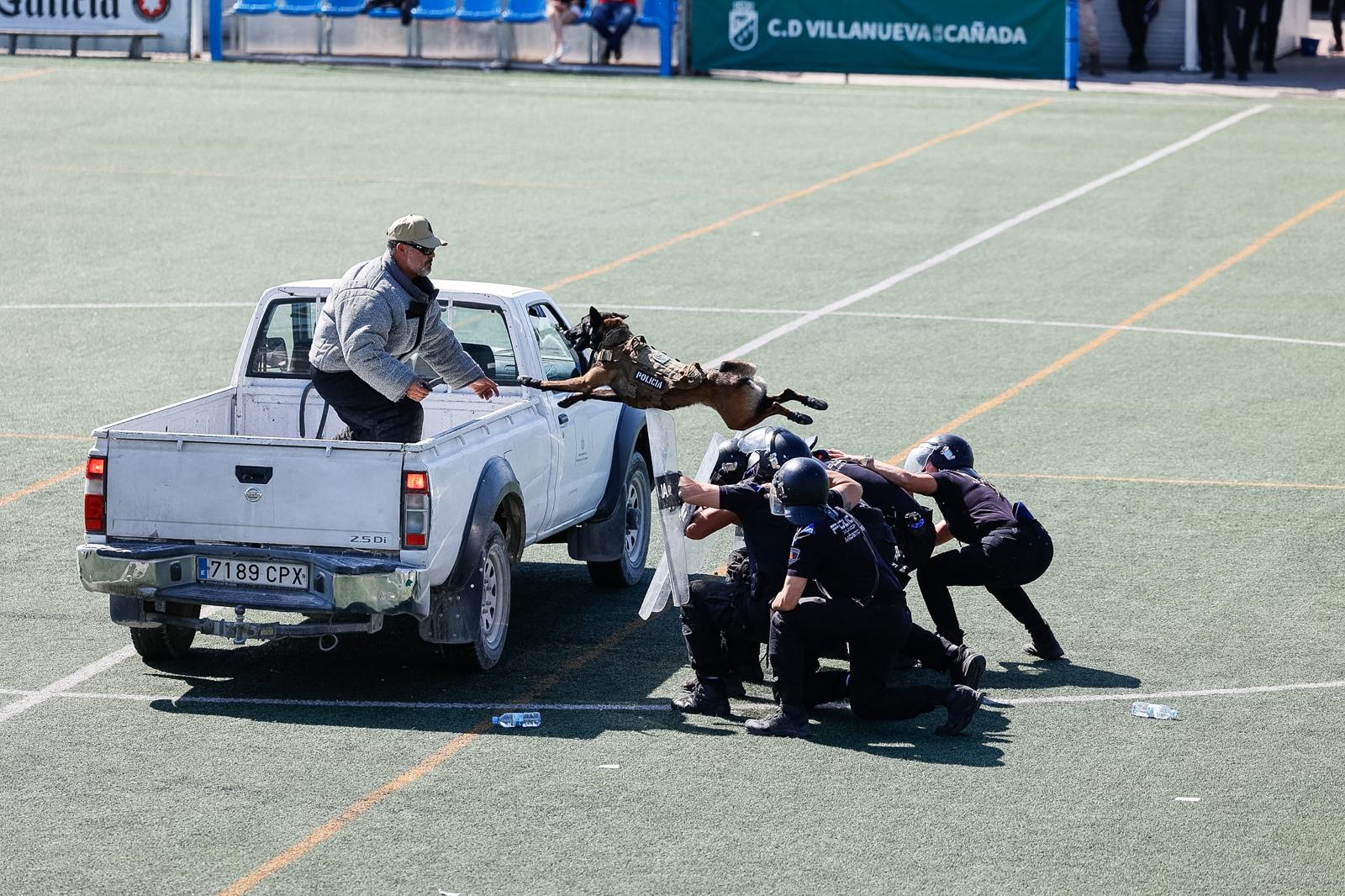 Exhibición en la ceremonia de clausura de las Jornadas Policiales y Militares de Guías Caninos.