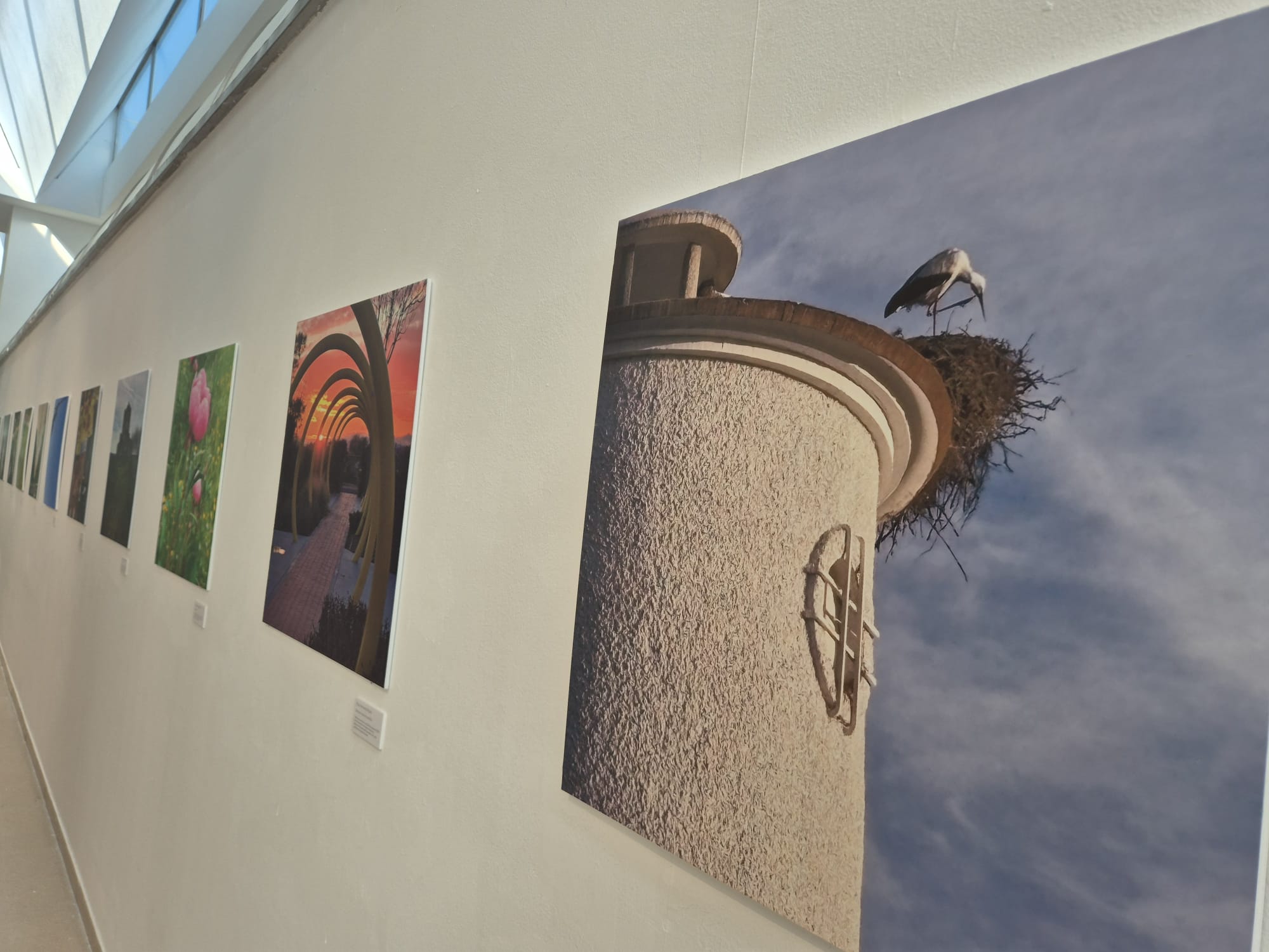 Imágenes fotográficas de la exposición.