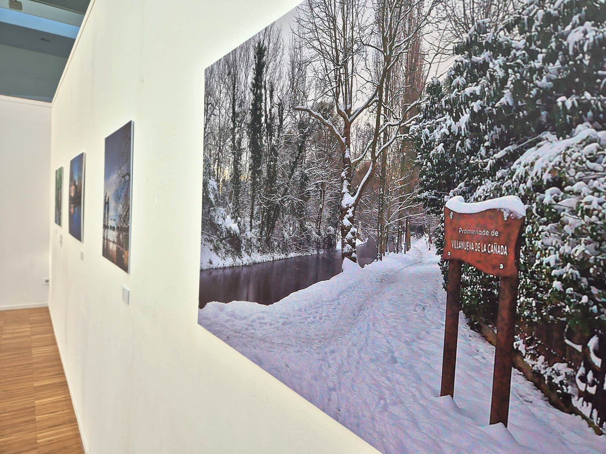 Imagen de fotografías de la exposición.