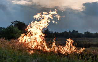 Imagen de fuego en zona de campo